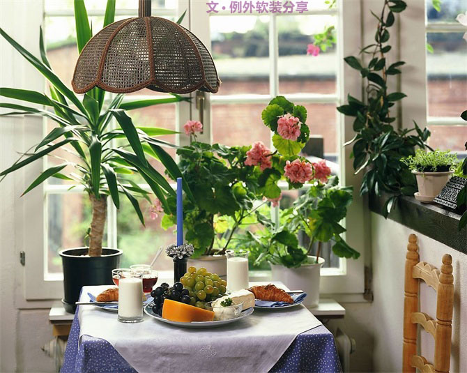 家里植物這樣擺，打造”另類“居室（一）
