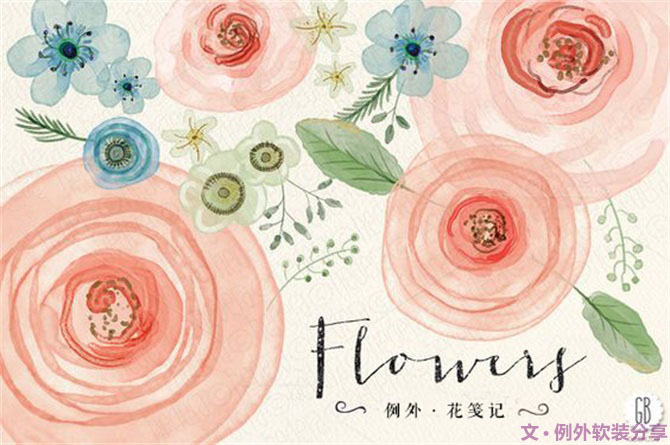 【例外.花箋記】洋牡丹，花叢中的人氣精靈