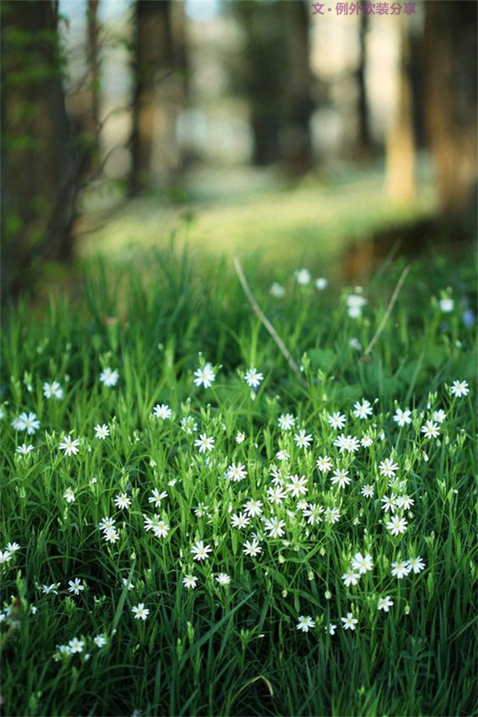 美輪美奐自然綠，綠色控如何奢華過(guò)一生？