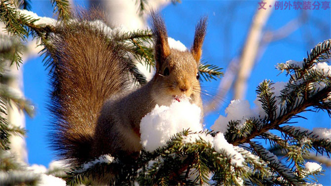 深圳又雙叒叕要入冬了，這次成功登陸？