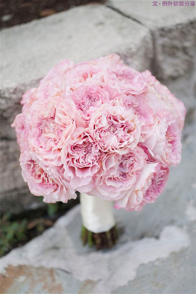 設(shè)計(jì)師揭秘8種適合冬季擺放的鮮花！