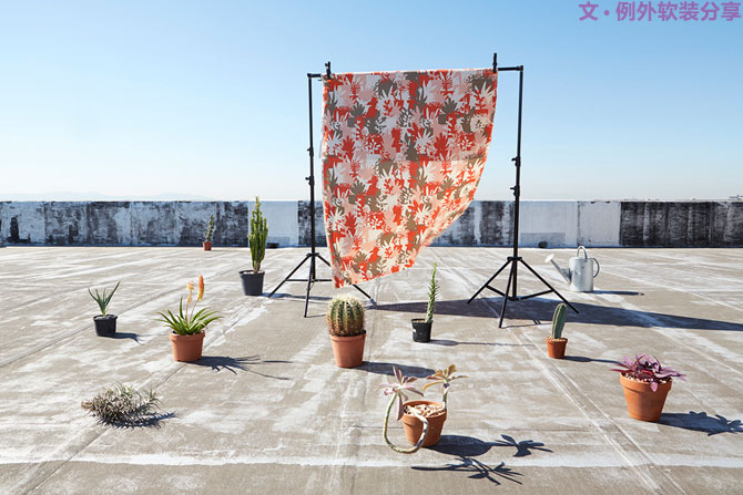 這些自帶天然氣質(zhì)的網(wǎng)紅綠植，都成了設(shè)計(jì)界的新寵兒！