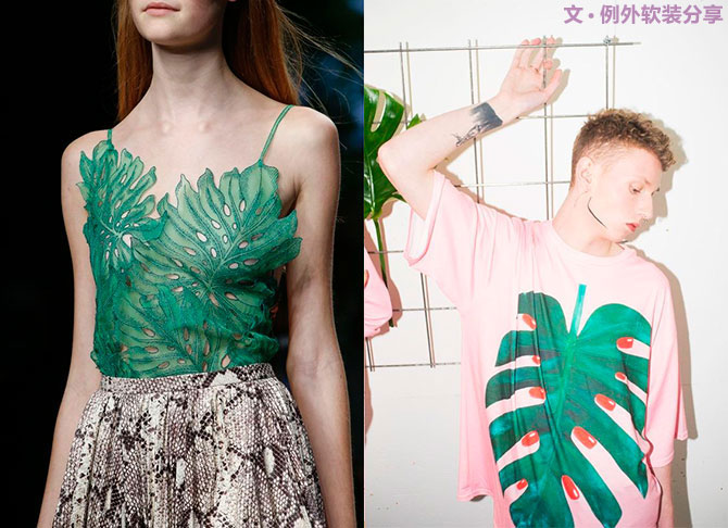 龜背竹遠(yuǎn)不止能去除甲醛，原來還有這么多作用！-別墅設(shè)計(jì),軟裝設(shè)計(jì),室內(nèi)設(shè)計(jì),豪宅設(shè)計(jì),深圳例外軟裝設(shè)計(jì)公司