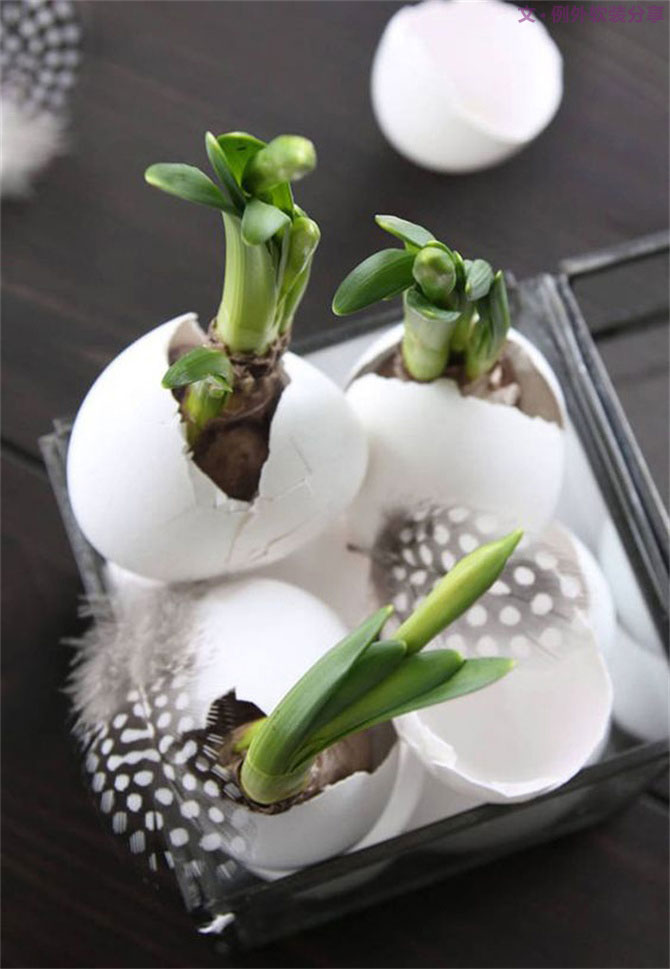 “她”不小心打碎了雞蛋，結(jié)果美翻了整個(gè)家！-別墅設(shè)計(jì),軟裝設(shè)計(jì),室內(nèi)設(shè)計(jì),豪宅設(shè)計(jì),深圳例外軟裝設(shè)計(jì)公司