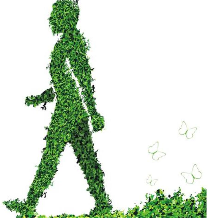 不能不知的11款強室內(nèi)吸毒植物，裝修房子必備-別墅設(shè)計,軟裝設(shè)計,室內(nèi)設(shè)計,豪宅設(shè)計,深圳例外軟裝設(shè)計公司