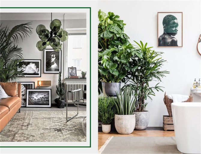 春風(fēng)十里，不如室內(nèi)這抹綠“迷醉”你！-別墅設(shè)計(jì),軟裝設(shè)計(jì),室內(nèi)設(shè)計(jì),豪宅設(shè)計(jì),深圳例外軟裝設(shè)計(jì)公司