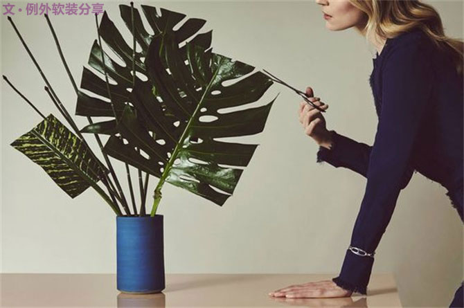 龜背竹遠(yuǎn)不止能去除甲醛，原來還有這么多作用！-別墅設(shè)計(jì),軟裝設(shè)計(jì),室內(nèi)設(shè)計(jì),豪宅設(shè)計(jì),深圳例外軟裝設(shè)計(jì)公司