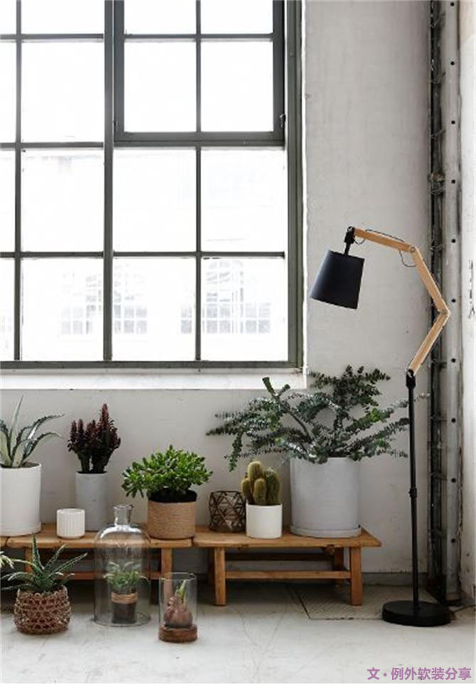 家里植物這樣擺，打造”另類(lèi)“居室（一）-別墅設(shè)計(jì),軟裝設(shè)計(jì),室內(nèi)設(shè)計(jì),豪宅設(shè)計(jì),深圳例外軟裝設(shè)計(jì)公司