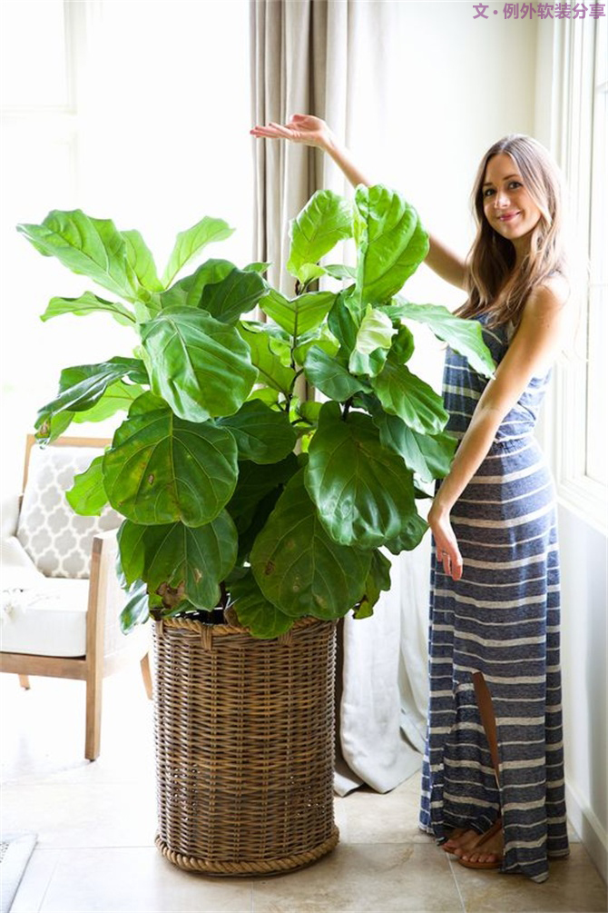 美輪美奐自然綠，綠色控如何奢華過一生？-別墅設(shè)計(jì),軟裝設(shè)計(jì),室內(nèi)設(shè)計(jì),豪宅設(shè)計(jì),深圳例外軟裝設(shè)計(jì)公司