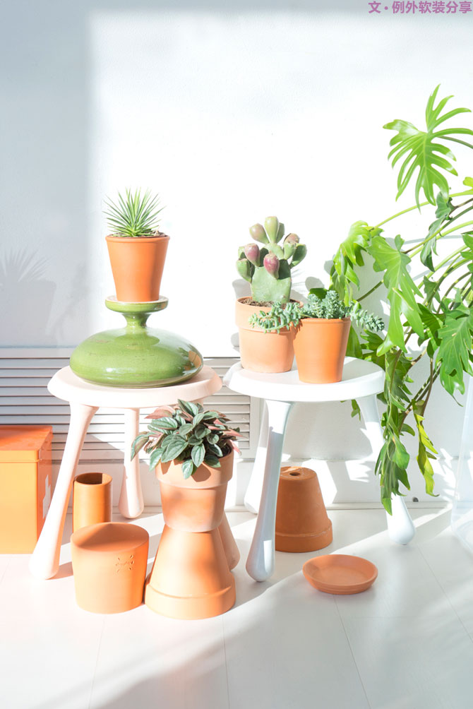 這些自帶天然氣質(zhì)的網(wǎng)紅綠植，都成了設(shè)計(jì)界的新寵兒！-別墅軟裝設(shè)計(jì),軟裝設(shè)計(jì),室內(nèi)軟裝設(shè)計(jì),室內(nèi)設(shè)計(jì),豪宅設(shè)計(jì),深圳例外軟裝設(shè)計(jì)公司