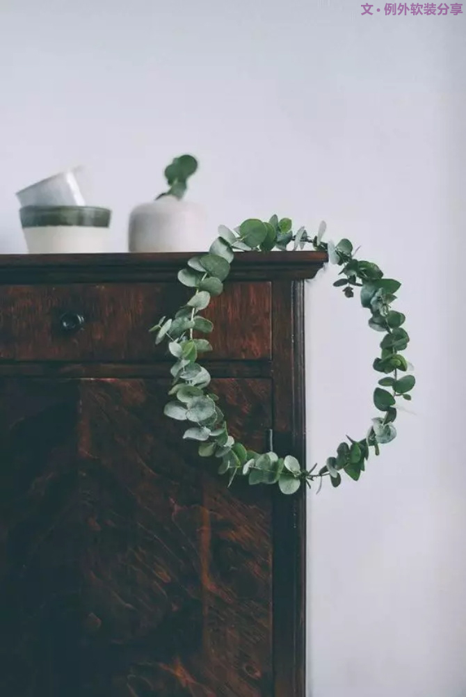 【例外.花箋記】尤加利，花藝界的百搭神葉-別墅設(shè)計(jì),軟裝設(shè)計(jì),室內(nèi)設(shè)計(jì),豪宅設(shè)計(jì),深圳例外軟裝設(shè)計(jì)公司