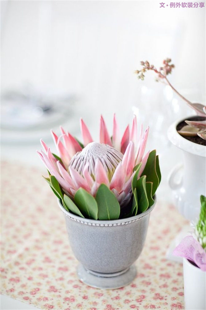 【例外·花箋記】沒有哪個姑娘能拒絕這樣一支奇葩！-別墅設計,軟裝設計,室內(nèi)設計,豪宅設計,深圳例外軟裝設計公司