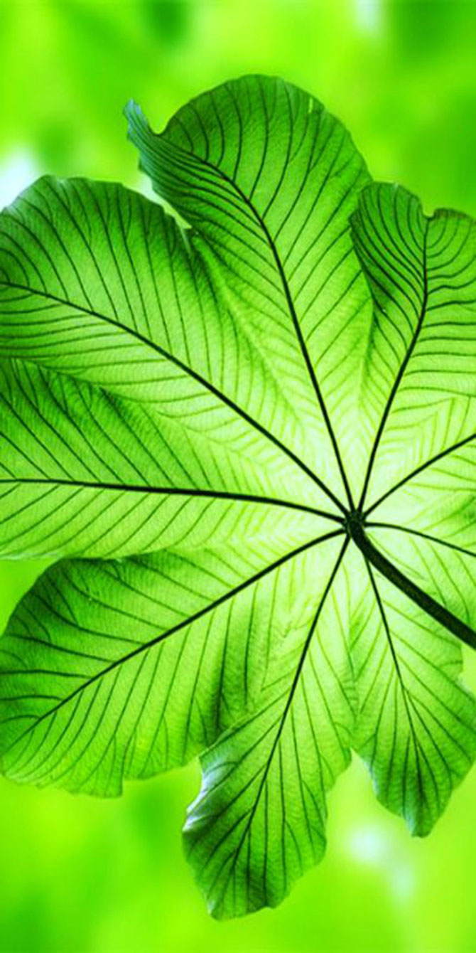 專家教你打造初春景象，它是世界無所不在的色調(diào)！-別墅設(shè)計(jì),軟裝設(shè)計(jì),室內(nèi)設(shè)計(jì),豪宅設(shè)計(jì),深圳例外軟裝設(shè)計(jì)公司