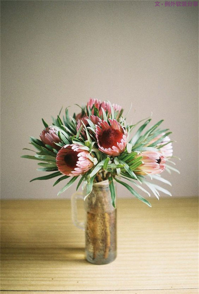 設(shè)計師揭秘8種適合冬季擺放的鮮花！-別墅設(shè)計,軟裝設(shè)計,室內(nèi)設(shè)計,豪宅設(shè)計,深圳例外軟裝設(shè)計公司