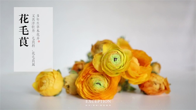 【幾分鐘.軟裝課堂】她用3分鐘搞定一個(gè)浪漫花球，就憑這些？-別墅設(shè)計(jì),軟裝設(shè)計(jì),室內(nèi)設(shè)計(jì),豪宅設(shè)計(jì),深圳例外軟裝設(shè)計(jì)公司