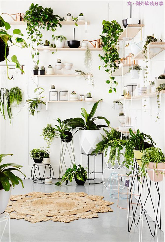 這種任性的綠植新玩法，你值得一試！-別墅設計,軟裝設計,室內(nèi)設計,豪宅設計,深圳例外軟裝設計公司