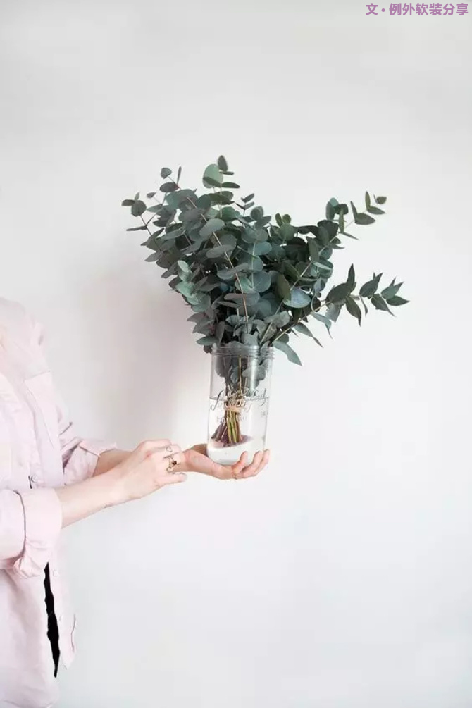 【例外.花箋記】尤加利，花藝界的百搭神葉-別墅設(shè)計(jì),軟裝設(shè)計(jì),室內(nèi)設(shè)計(jì),豪宅設(shè)計(jì),深圳例外軟裝設(shè)計(jì)公司