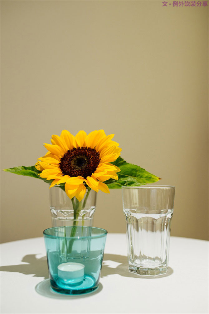 設(shè)計師揭秘8種適合冬季擺放的鮮花！-別墅設(shè)計,軟裝設(shè)計,室內(nèi)設(shè)計,豪宅設(shè)計,深圳例外軟裝設(shè)計公司