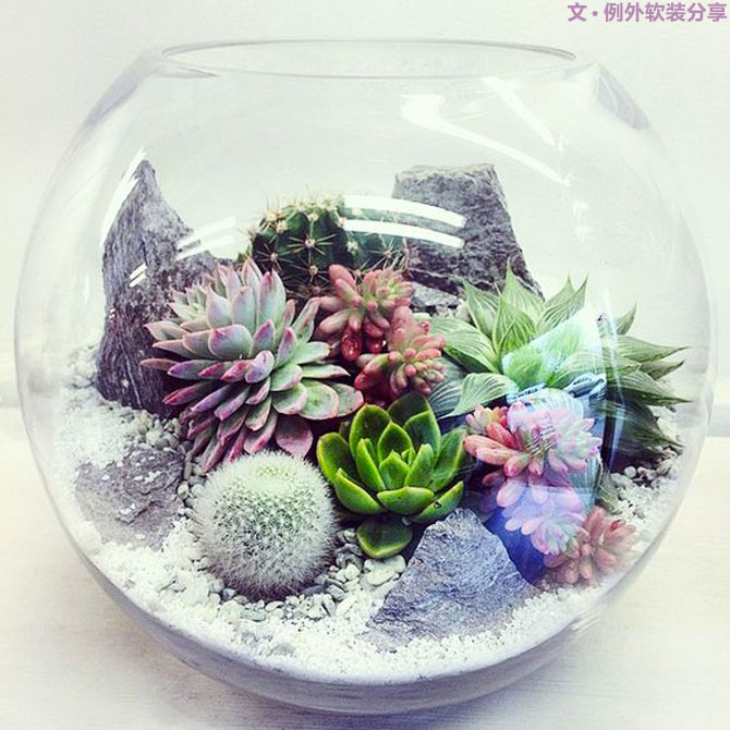 地球人都得了一種，看見“她”就想抱回家養(yǎng)的??！-別墅設計,軟裝設計,室內設計,豪宅設計,深圳例外軟裝設計公司