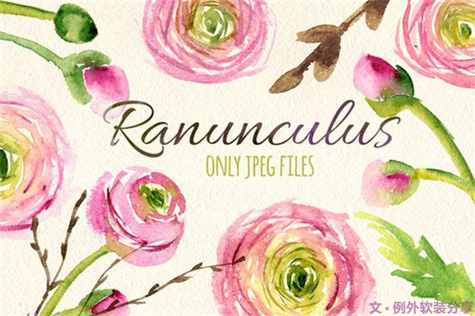 【例外·花箋記】洋牡丹，花叢中的人氣精靈-別墅設(shè)計(jì),軟裝設(shè)計(jì),室內(nèi)設(shè)計(jì),豪宅設(shè)計(jì),深圳例外軟裝設(shè)計(jì)公司