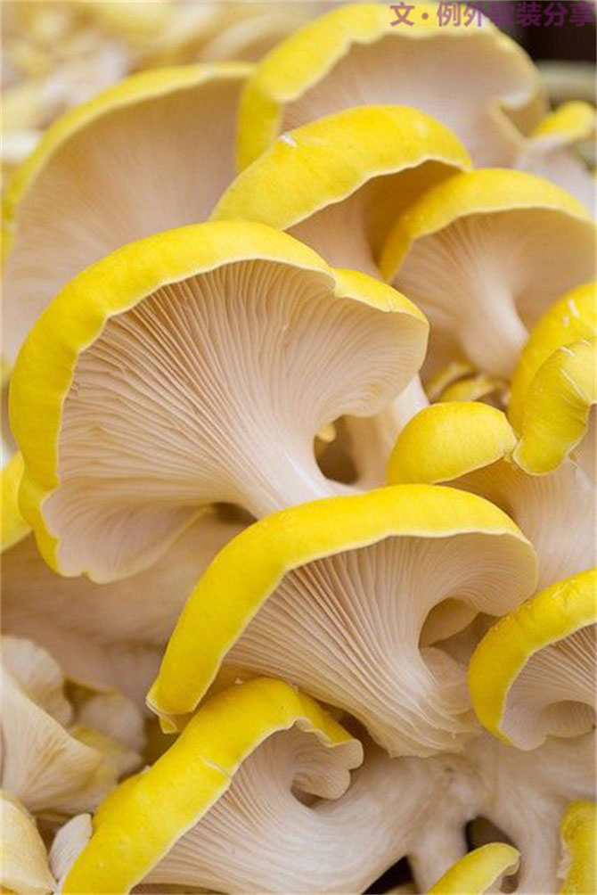 深圳又雙叒叕要入冬了，這次成功登陸？-別墅設計,軟裝設計,室內(nèi)設計,豪宅設計,深圳例外軟裝設計公司