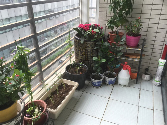 CCTV2《交換空間》收官之作--48小時(shí)，教你打造專屬的“秘密花園”-別墅設(shè)計(jì),軟裝設(shè)計(jì),室內(nèi)設(shè)計(jì),豪宅設(shè)計(jì),深圳例外軟裝設(shè)計(jì)公司