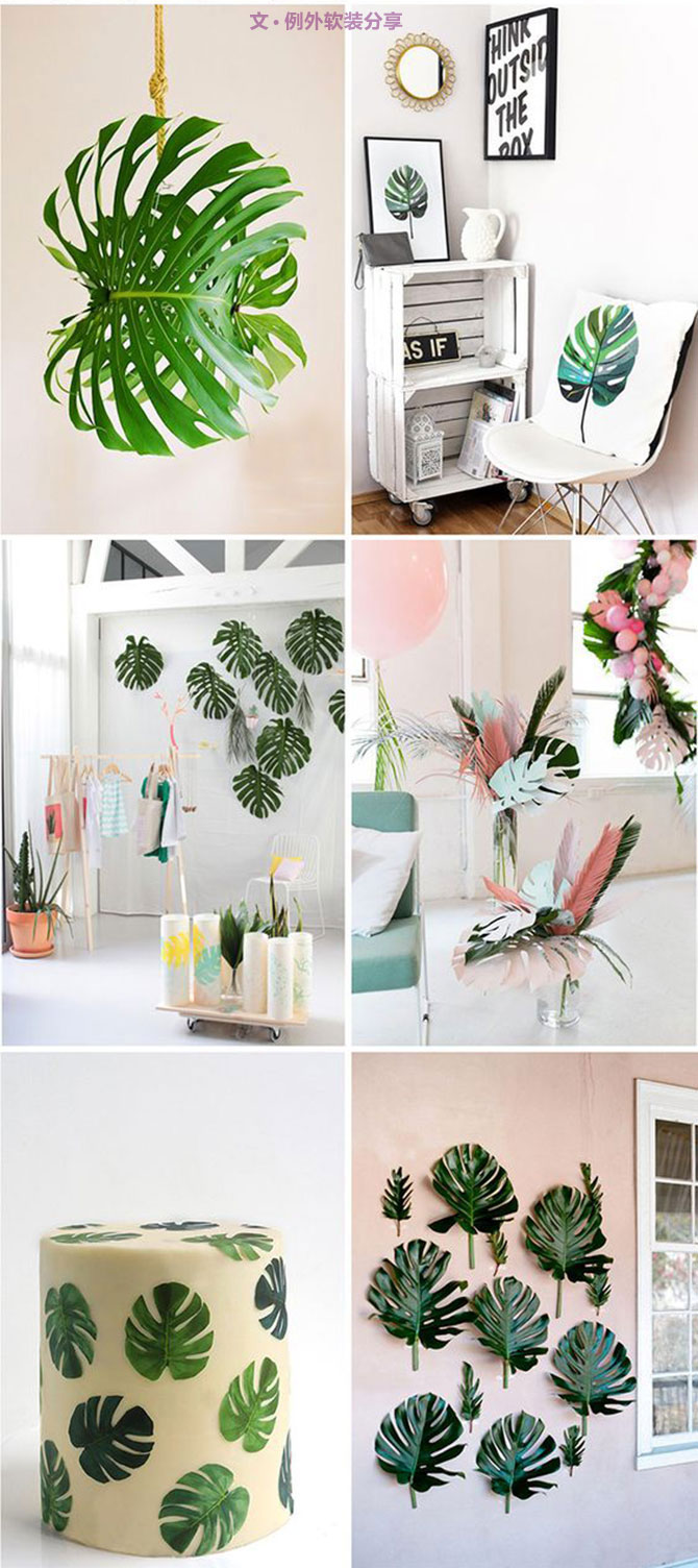 龜背竹遠(yuǎn)不止能去除甲醛，原來還有這么多作用！-別墅設(shè)計(jì),軟裝設(shè)計(jì),室內(nèi)設(shè)計(jì),豪宅設(shè)計(jì),深圳例外軟裝設(shè)計(jì)公司