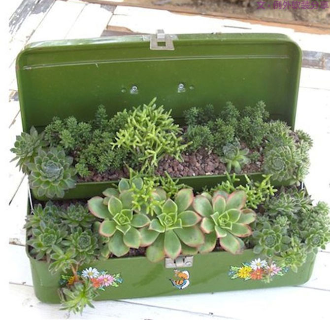 別再花錢買普通的花盆了，這才是種花神器！-別墅設(shè)計(jì),軟裝設(shè)計(jì),室內(nèi)設(shè)計(jì),豪宅設(shè)計(jì),深圳例外軟裝設(shè)計(jì)公司