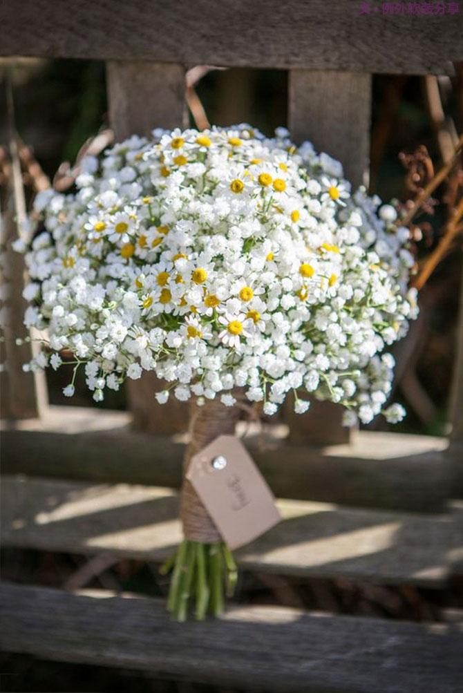 設(shè)計師揭秘8種適合冬季擺放的鮮花！-別墅設(shè)計,軟裝設(shè)計,室內(nèi)設(shè)計,豪宅設(shè)計,深圳例外軟裝設(shè)計公司