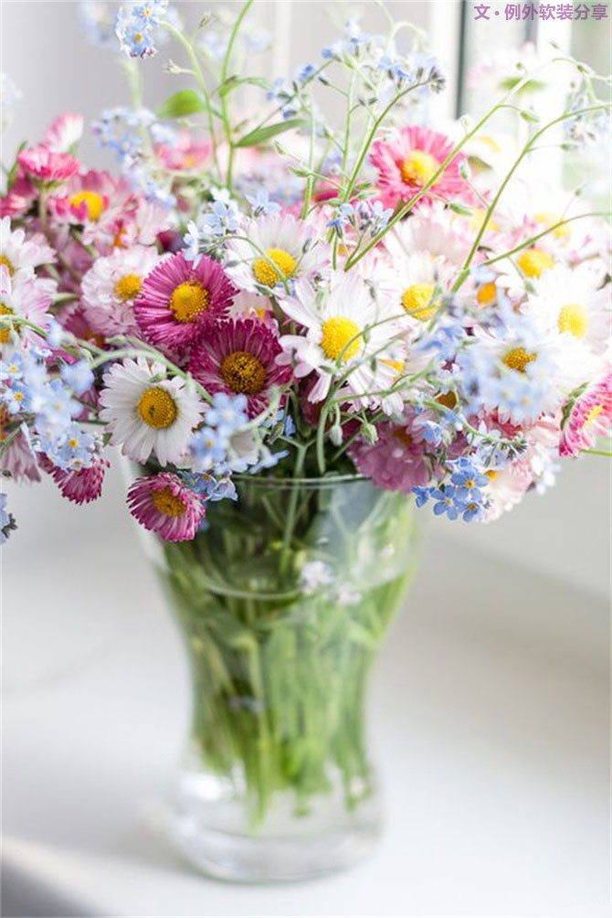 設(shè)計師揭秘8種適合冬季擺放的鮮花！-別墅設(shè)計,軟裝設(shè)計,室內(nèi)設(shè)計,豪宅設(shè)計,深圳例外軟裝設(shè)計公司