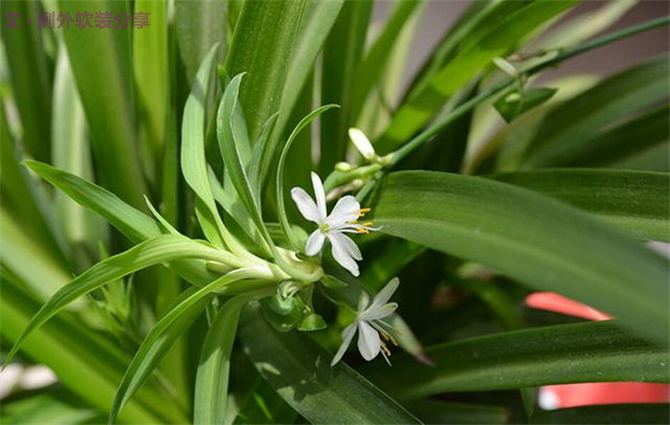 新房子裝修甲醛從哪里來？-別墅設(shè)計,軟裝設(shè)計,室內(nèi)設(shè)計,豪宅設(shè)計,深圳例外軟裝設(shè)計公司