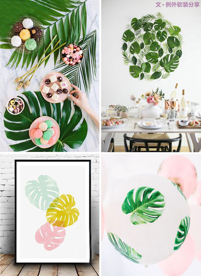 龜背竹遠(yuǎn)不止能去除甲醛，原來還有這么多作用！-別墅設(shè)計(jì),軟裝設(shè)計(jì),室內(nèi)設(shè)計(jì),豪宅設(shè)計(jì),深圳例外軟裝設(shè)計(jì)公司