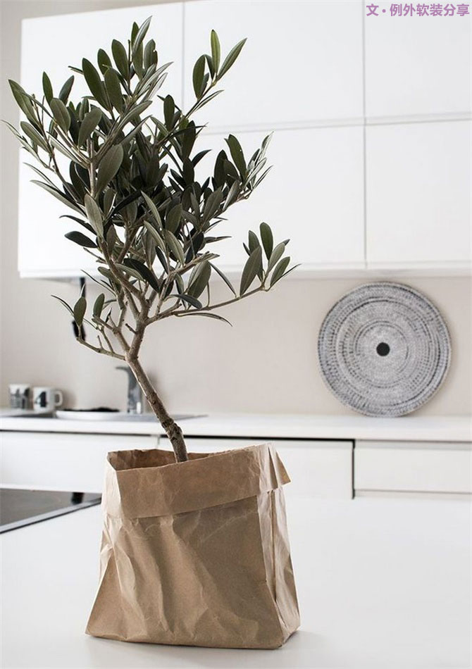 別再花錢買普通的花盆了，這才是種花神器！-別墅設(shè)計(jì),軟裝設(shè)計(jì),室內(nèi)設(shè)計(jì),豪宅設(shè)計(jì),深圳例外軟裝設(shè)計(jì)公司