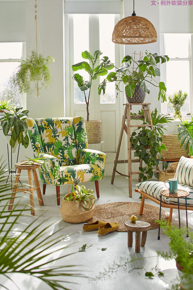 這些自帶天然氣質(zhì)的網(wǎng)紅綠植，都成了設(shè)計(jì)界的新寵兒！-別墅軟裝設(shè)計(jì),軟裝設(shè)計(jì),室內(nèi)軟裝設(shè)計(jì),室內(nèi)設(shè)計(jì),豪宅設(shè)計(jì),深圳例外軟裝設(shè)計(jì)公司