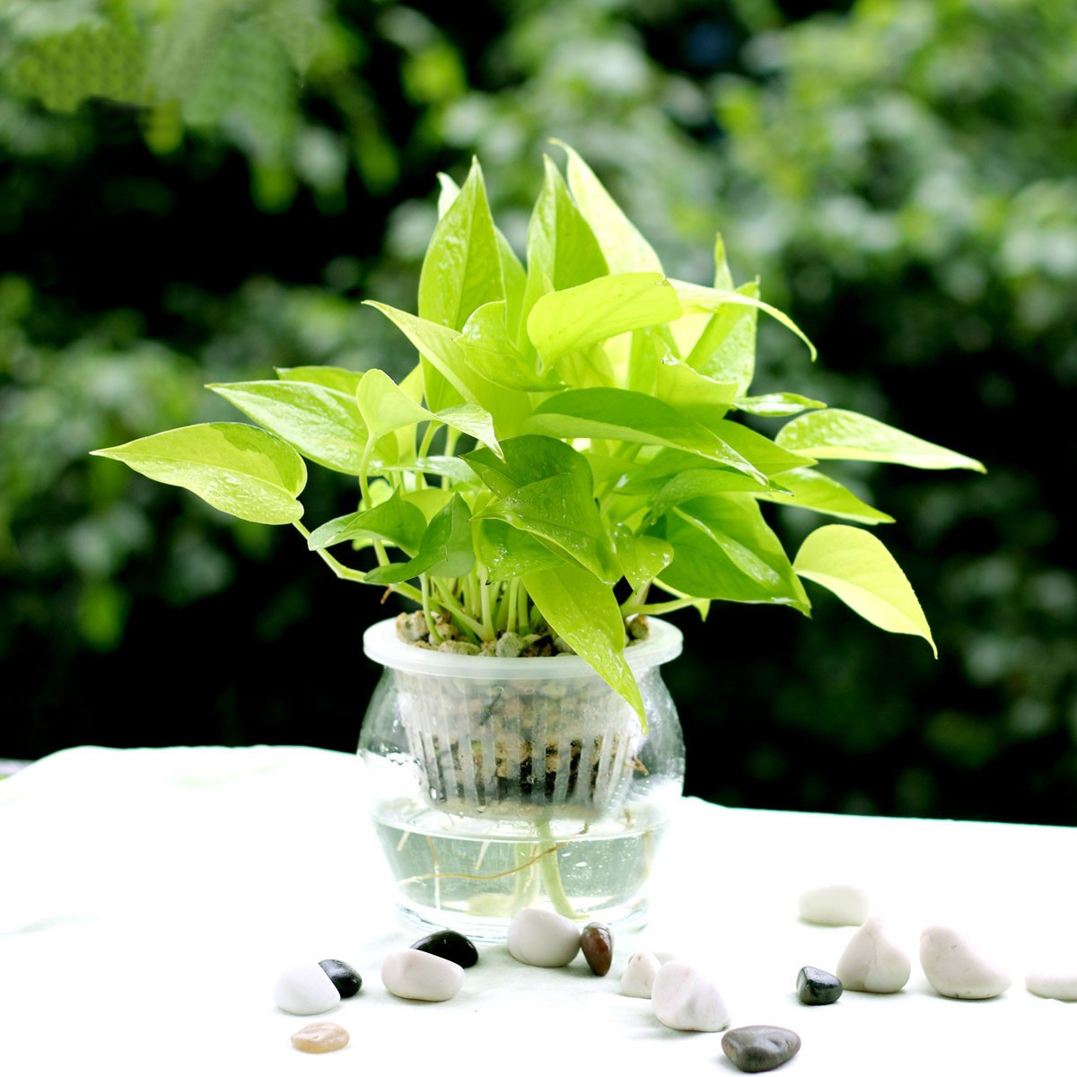 二胎時(shí)代兒童健康"隱形殺手"之甲醛，到底從何而來(lái)？-別墅設(shè)計(jì),軟裝設(shè)計(jì),室內(nèi)設(shè)計(jì),豪宅設(shè)計(jì),深圳例外軟裝設(shè)計(jì)公司