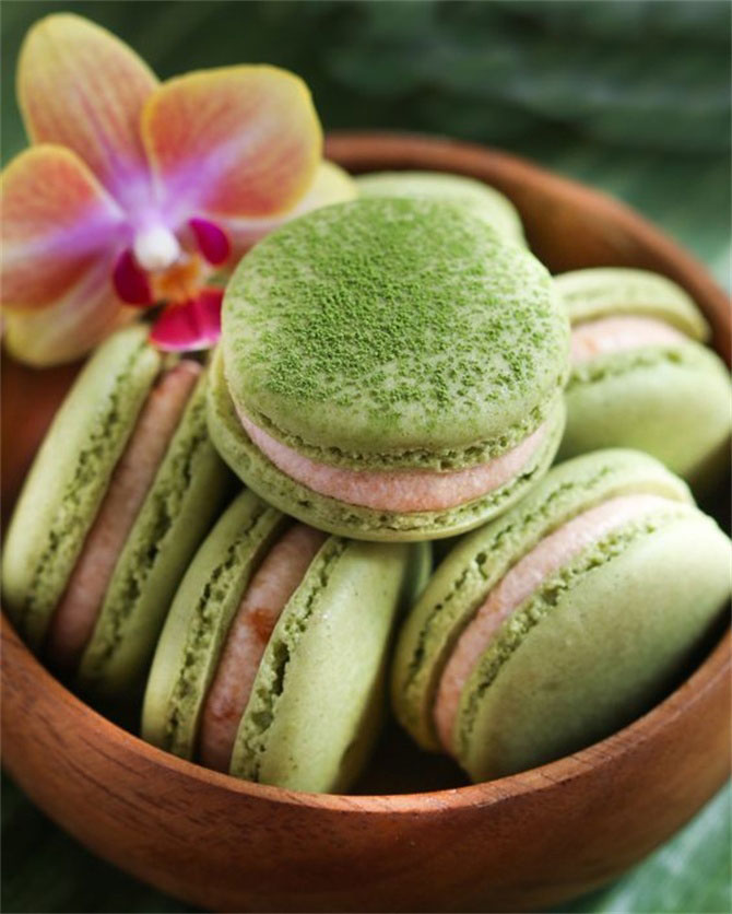 春風(fēng)十里，不如室內(nèi)這抹綠“迷醉”你！-別墅設(shè)計(jì),軟裝設(shè)計(jì),室內(nèi)設(shè)計(jì),豪宅設(shè)計(jì),深圳例外軟裝設(shè)計(jì)公司