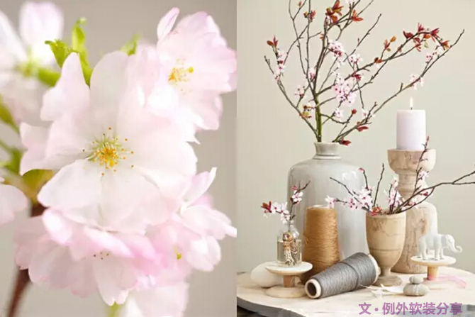 這才叫真正的花藝，你那只算小盆綠植（下）